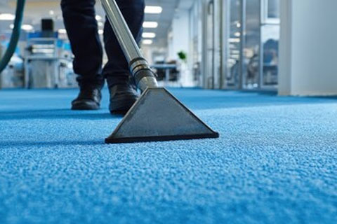 pro clean